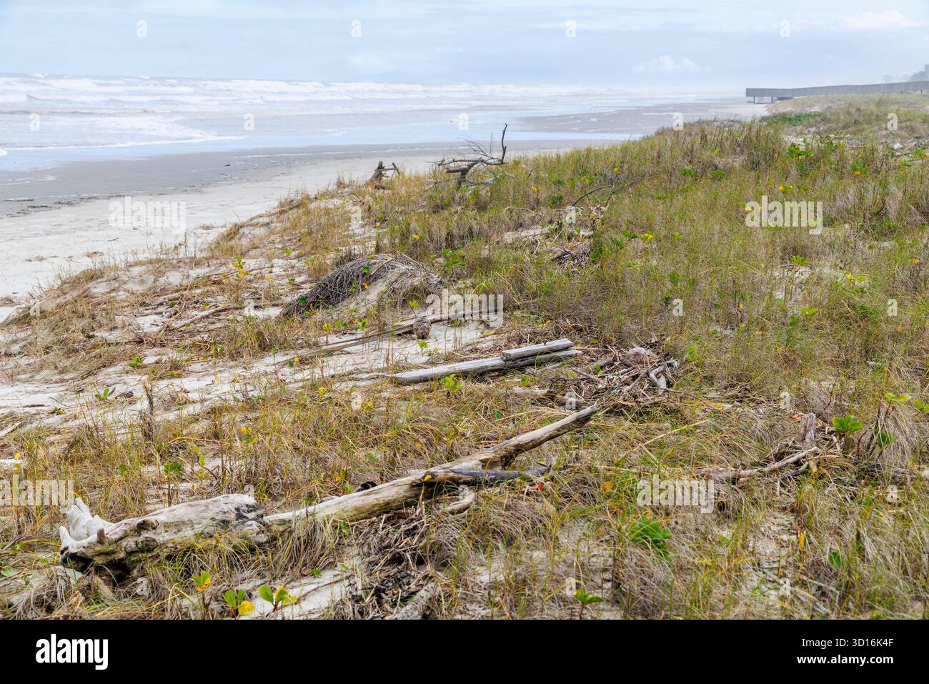 Strand und Dünen in Iguape, Brasilien Stockfoto
