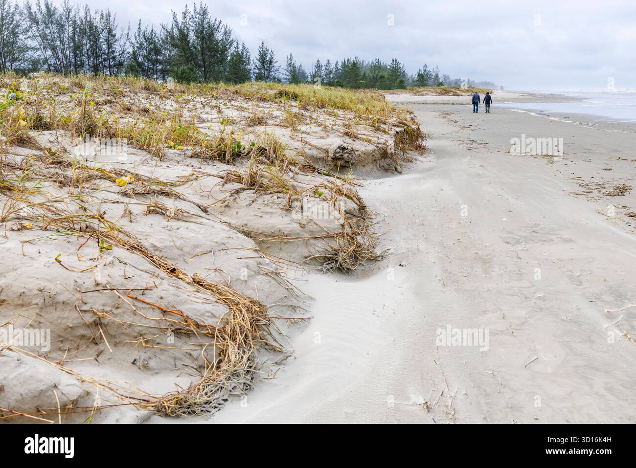 Strand in Iguape, Brasilien Stockfoto