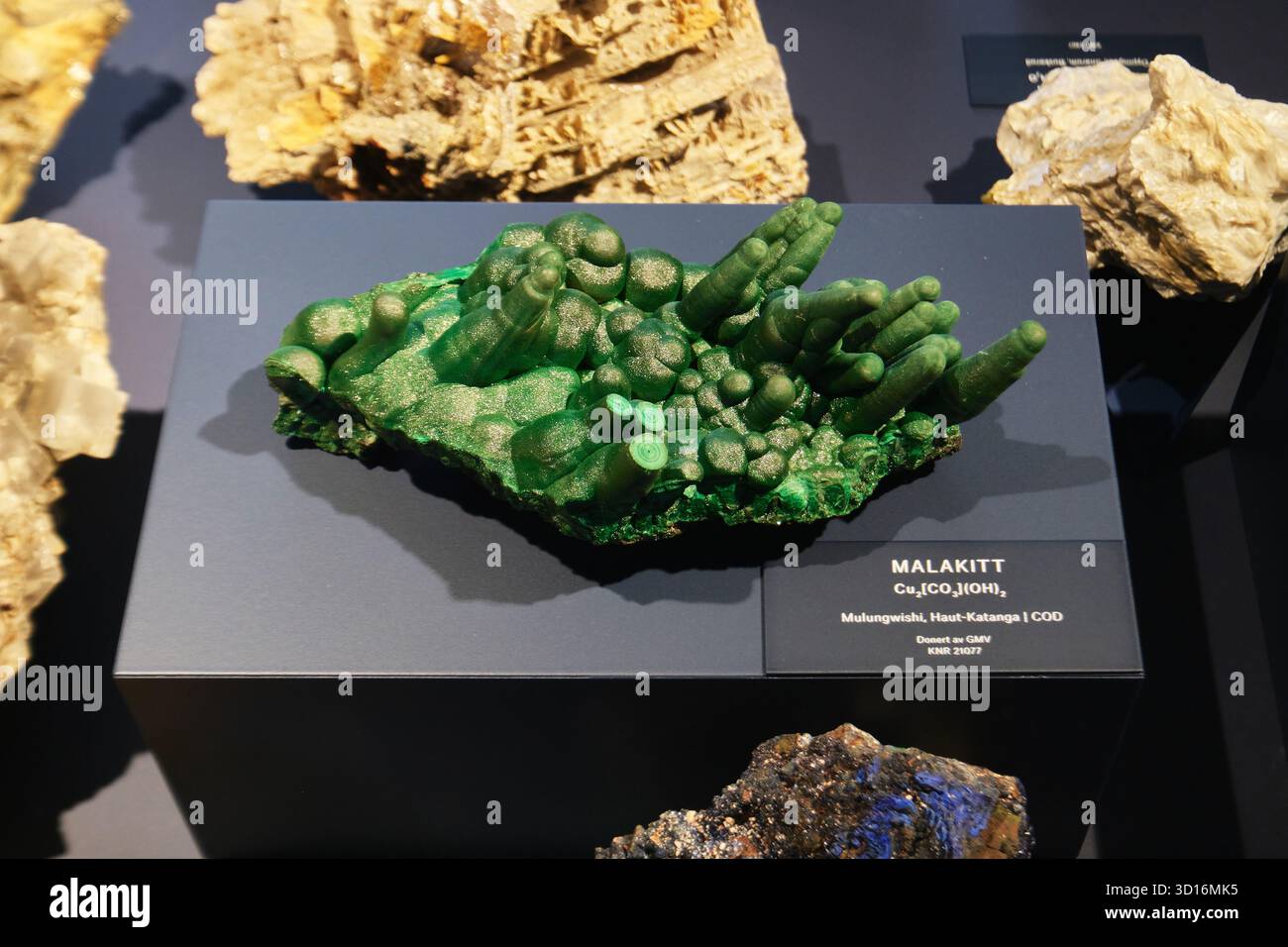 Oslo, Norwegen - 6. September 2025: Malachitprobe im Museum of Natural History of Oslo Stockfoto