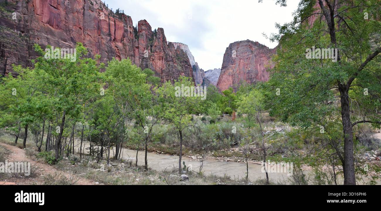 Der Virgin River, der durch den roten Felsschlucht des Zion National Park, Utah, fließt. Stockfoto