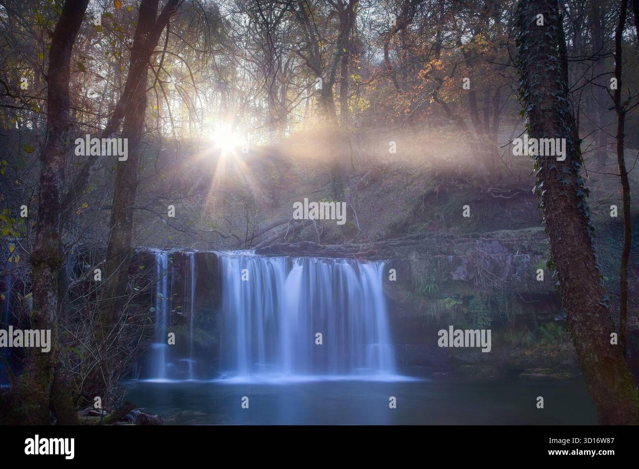 Ein Wasserfall in einer herbstlichen Schlucht, mit Morgensonne, die die Herbstfarbe durch das bewaldete Tal über sich zieht, Bäume im Vordergrund Stockfoto