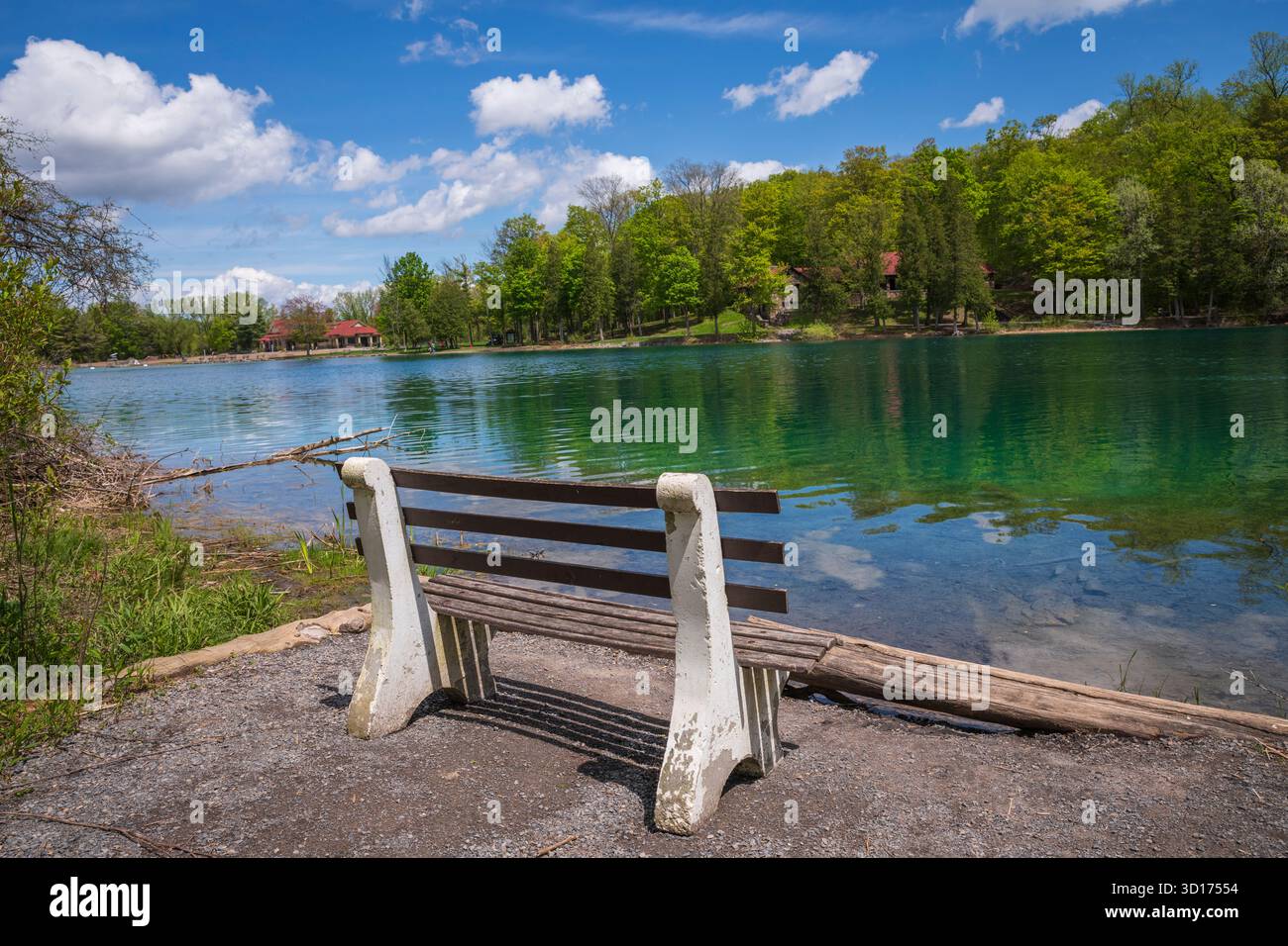 Dead man's Point ist ein großes Thrombolitenriff im Green Lake im Green Lakes State Park Stockfoto
