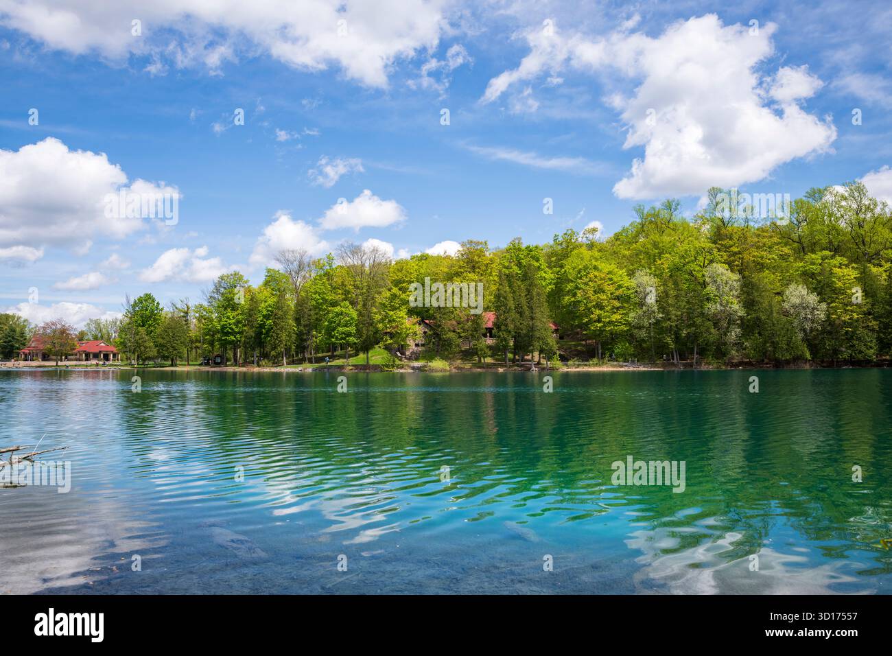 Dead man's Point ist ein großes Thrombolitenriff im Green Lake im Green Lakes State Park. Stockfoto