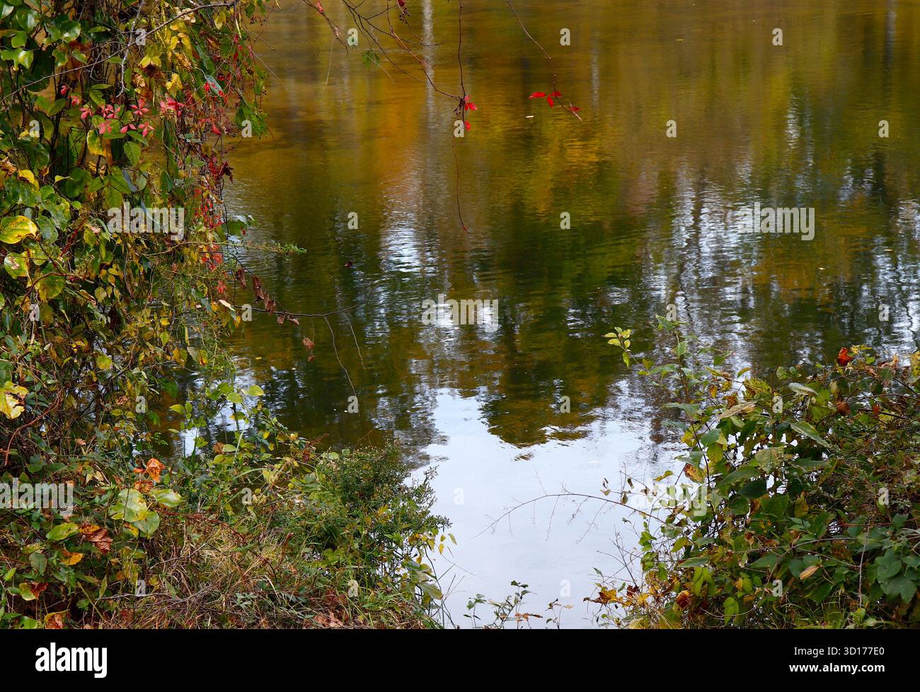 Herbstfarben spiegeln sich auf dem Flusswasser wider Stockfoto