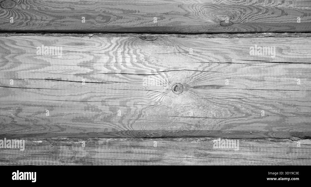 Detaillierte Nahaufnahme eines grauen Holzstamms mit natürlichen Kornmustern, Holzstruktur und Knoten. Hintergrundfotostruktur, Vorderansicht. Ideal für Archit Stockfoto