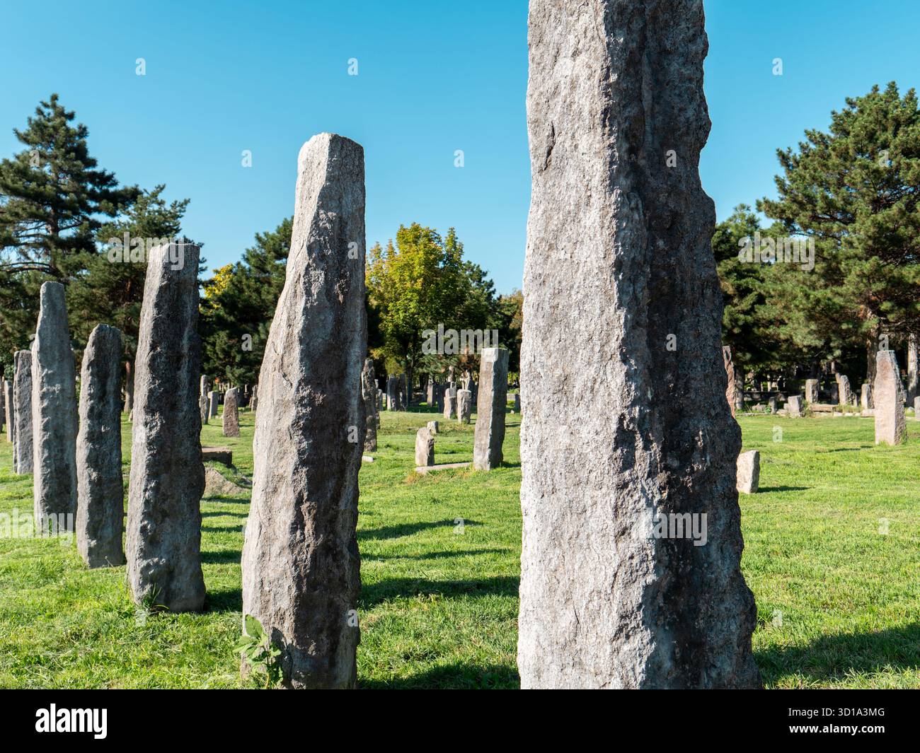 Historischer Friedhof aus der Seldschukzeit, Seyyid Burhaneddin Friedhof. Stockfoto