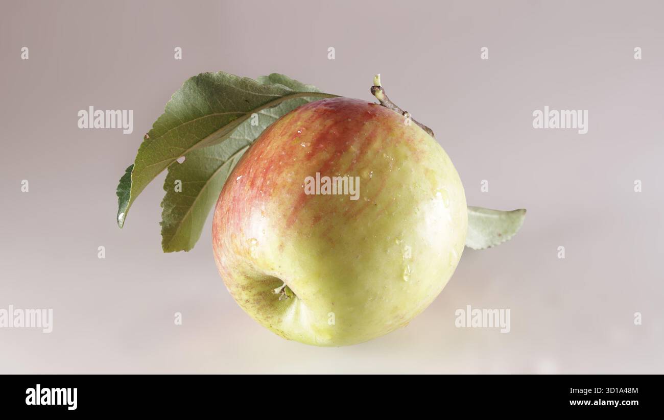 Nur ein Apfel Stockfoto