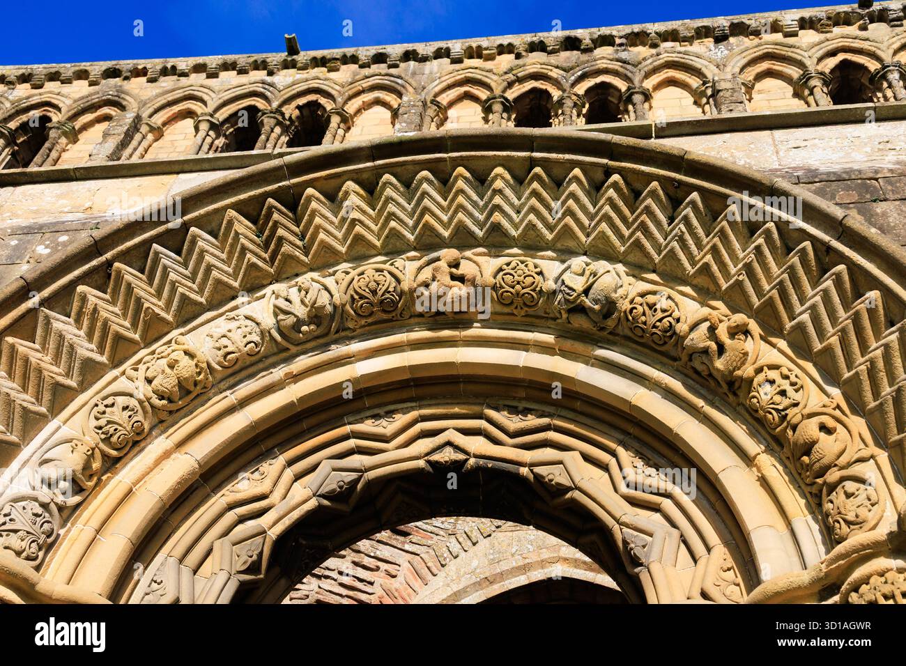 Türbogendetail, Ruinen der Jedburgh Abbey, Jedburgh, Roxburgh, Scottish Borders, Schottland Stockfoto