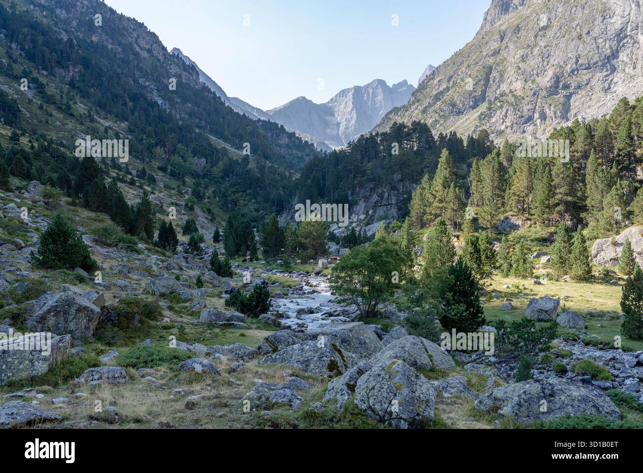 Ein Tal in den französischen Pyrenäen mit einem Gebirgsbach, der auf den Berg Vignemale in Frankreich zurückblickt Stockfoto