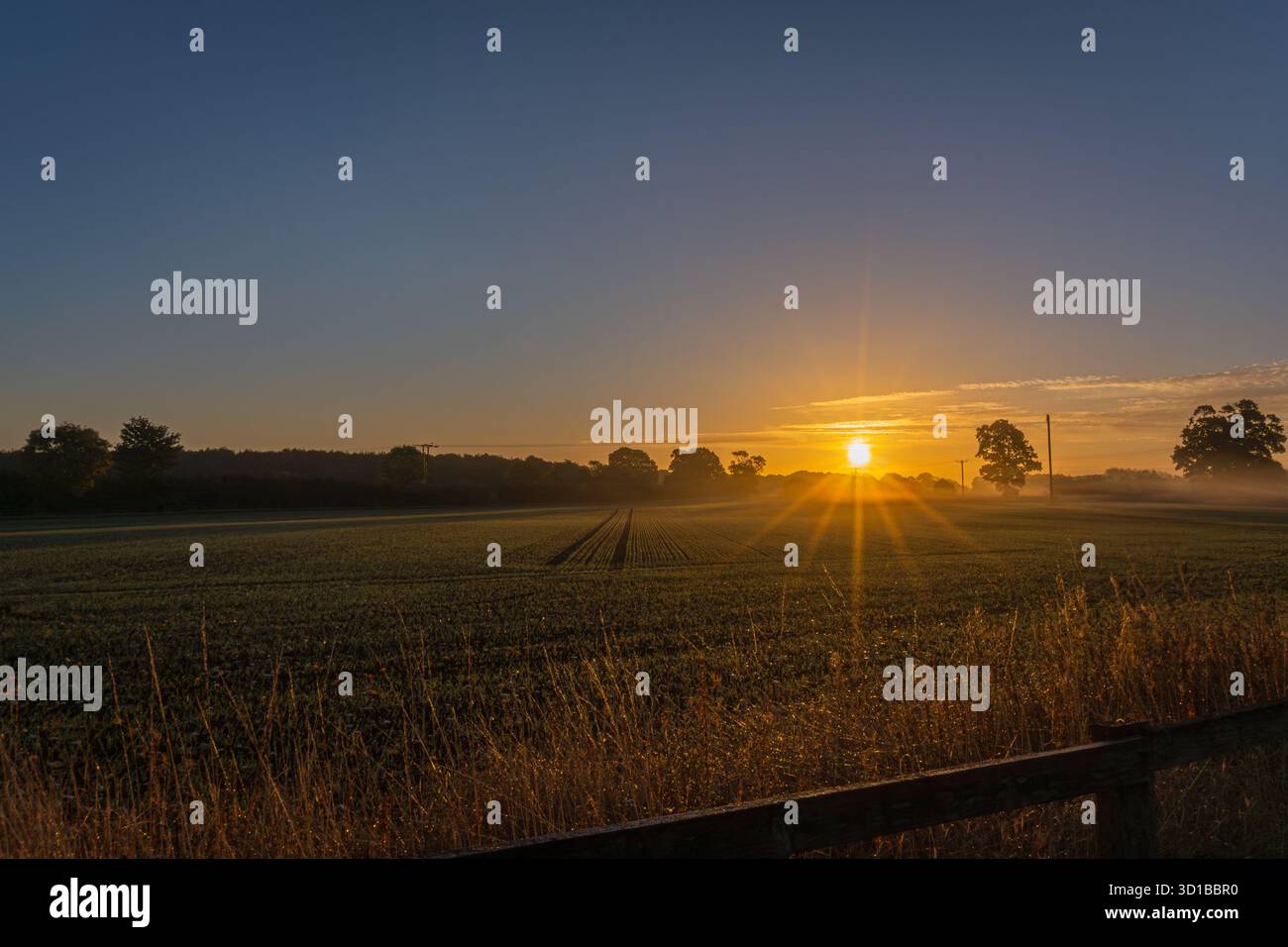 Golden Horizon: Sonnenaufgang Über Feldern In Der Nähe Von York Stockfoto