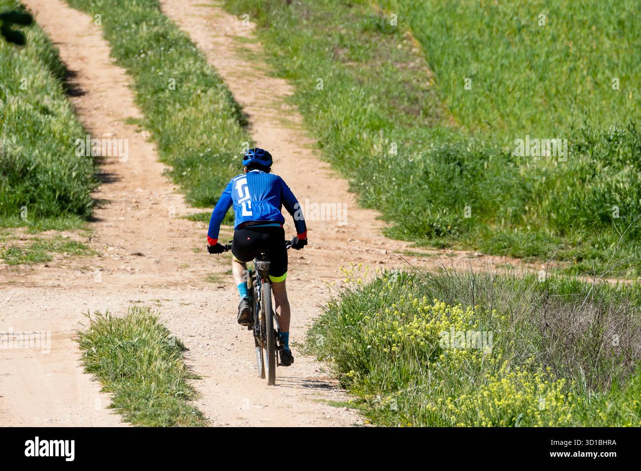 Eine Person radelt entlang eines unbefestigten Weges neben üppigem Grün an einem klaren, hellen Tag im Frühling. Stockfoto