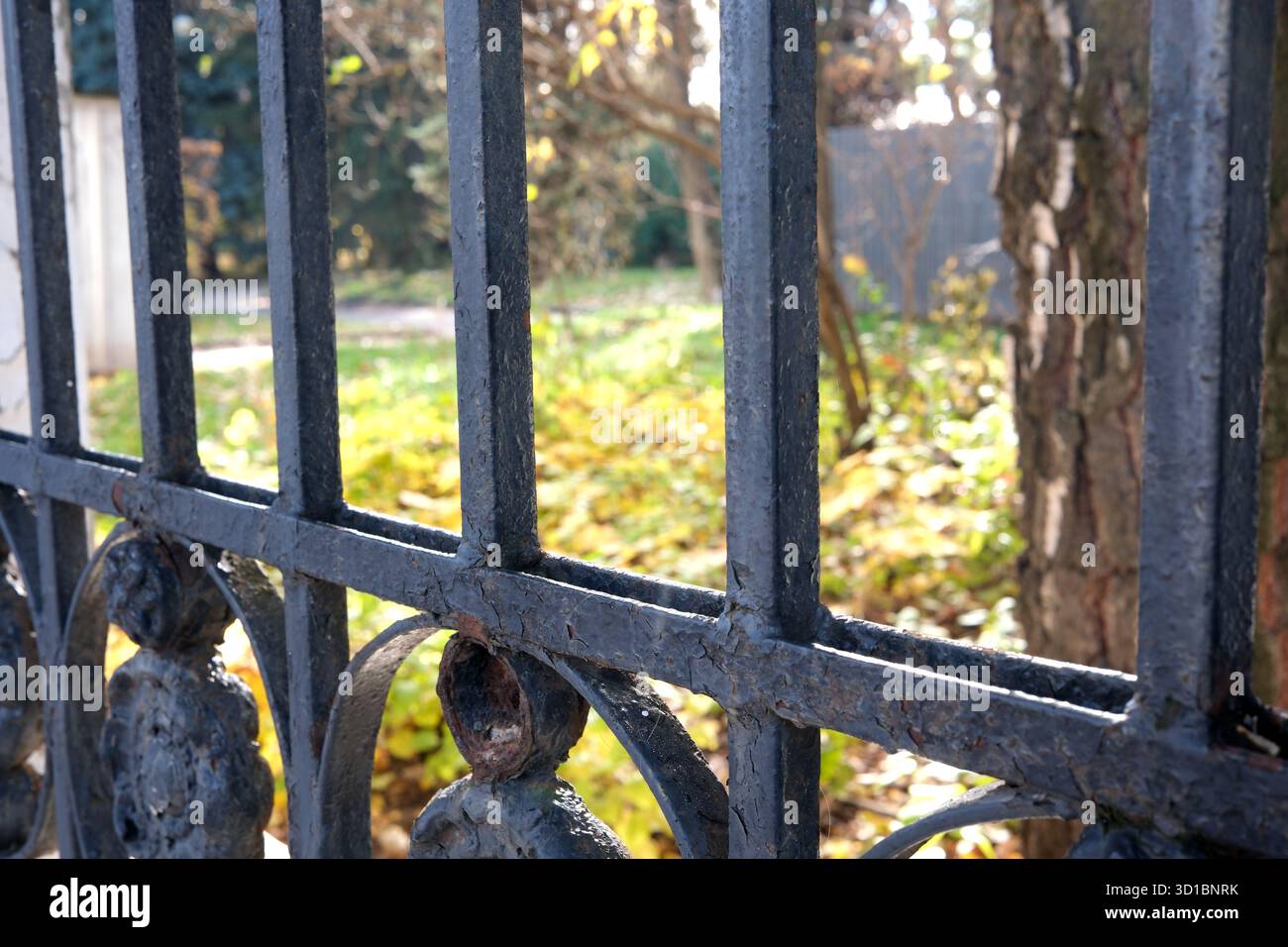 Sonnenlicht filtert durch Eisenstangen und zeigt einen ruhigen Herbstgarten mit gefallenen Blättern. Stockfoto