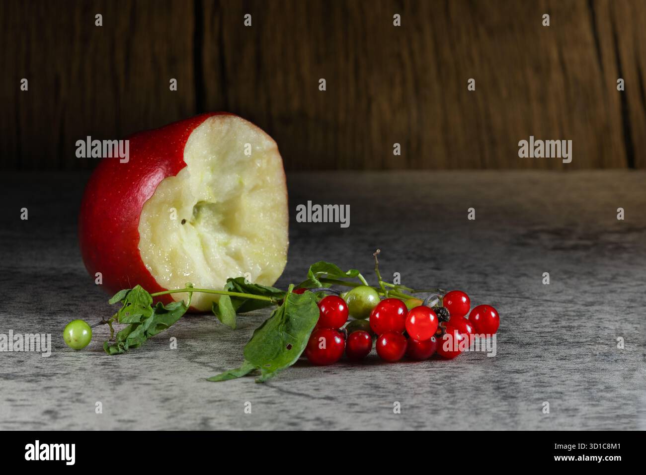 Roter Apfel mit Biss neben roten Giftbeeren und grünen Blättern auf einer strukturierten Oberfläche vor hölzernem Hintergrund. Moody Halloween Stillleben Stockfoto