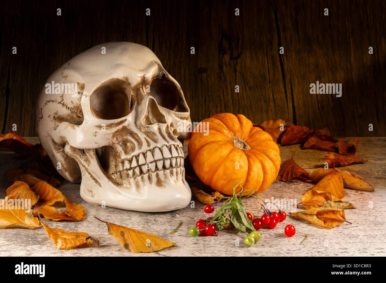 Dekorativer Schädel mit einem kleinen Kürbis, giftigen bittersüßen roten Beeren zum Mord und trockenen Herbstblättern auf einer rustikalen Oberfläche an einer Holzwand. Stockfoto