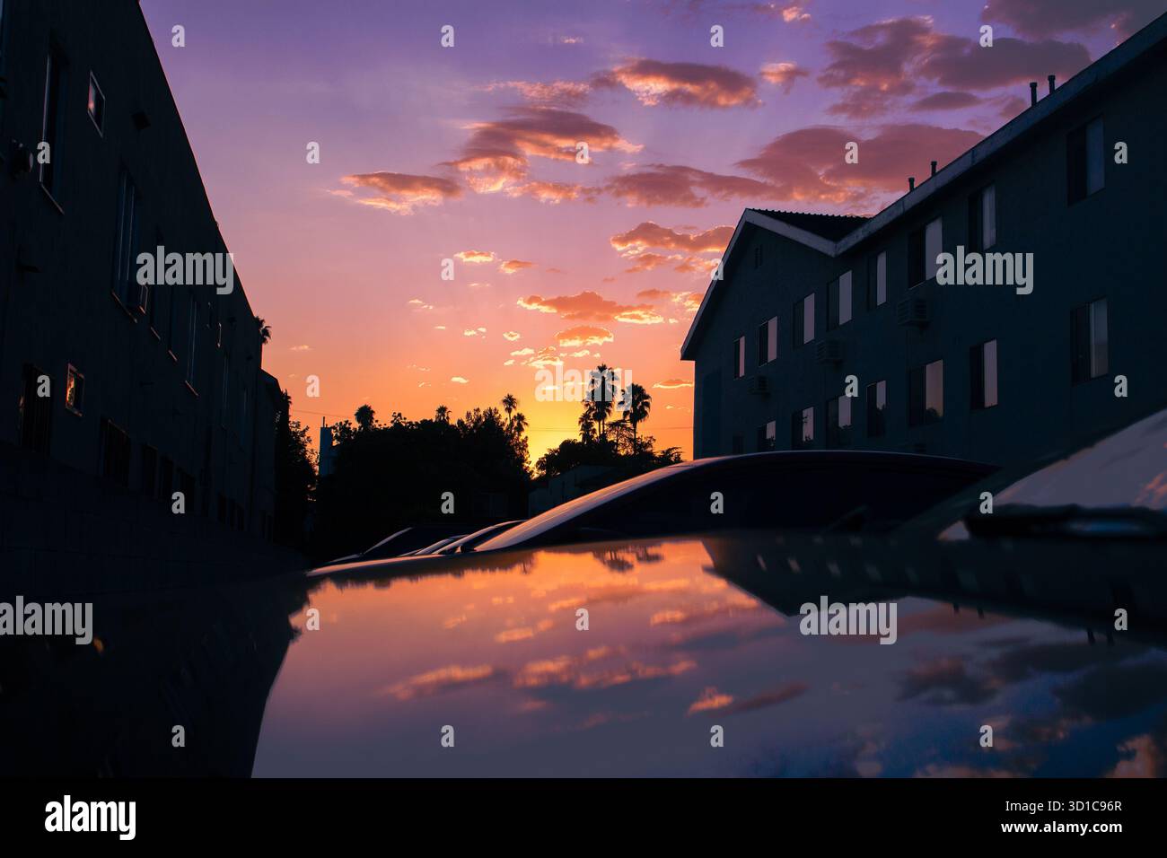 Städtischer Sonnenuntergang auf dem Autodach mit Silhouetten von Gebäuden und Palmen vor leuchtendem orange-violetten Abendhimmel im Stadtviertel Stockfoto