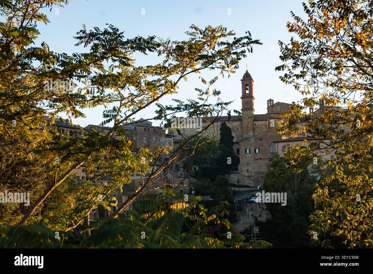 Montepulciano durch Herbstlaub Stockfoto