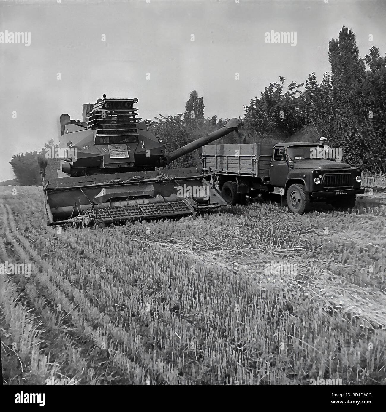 Slawjansk, Ukrainische SSR, 1983. Ein monochromes Archivfoto zeigt die „Schlacht um die Ernte“ in Sovkhoz „Chervony Molochar“. Ein sowjetischer SK-5 Niva-Mähdrescher wird gezeigt, der sein Getreide (Weizen) aktiv von der Schnecke in die Rückseite eines benachbarten GAZ-Lkws entlädt. Im Hintergrund werden andere Mähdrescher und Fahrzeuge auf dem weiten Feld eingesetzt, was den Umfang des mechanisierten Betriebs unterstreicht. Dieser Prozess war der Kern der sowjetischen Landwirtschaft in der Region Donezk. Das ist ein machtvolles Bild des friedlichen Donbass. Stockfoto