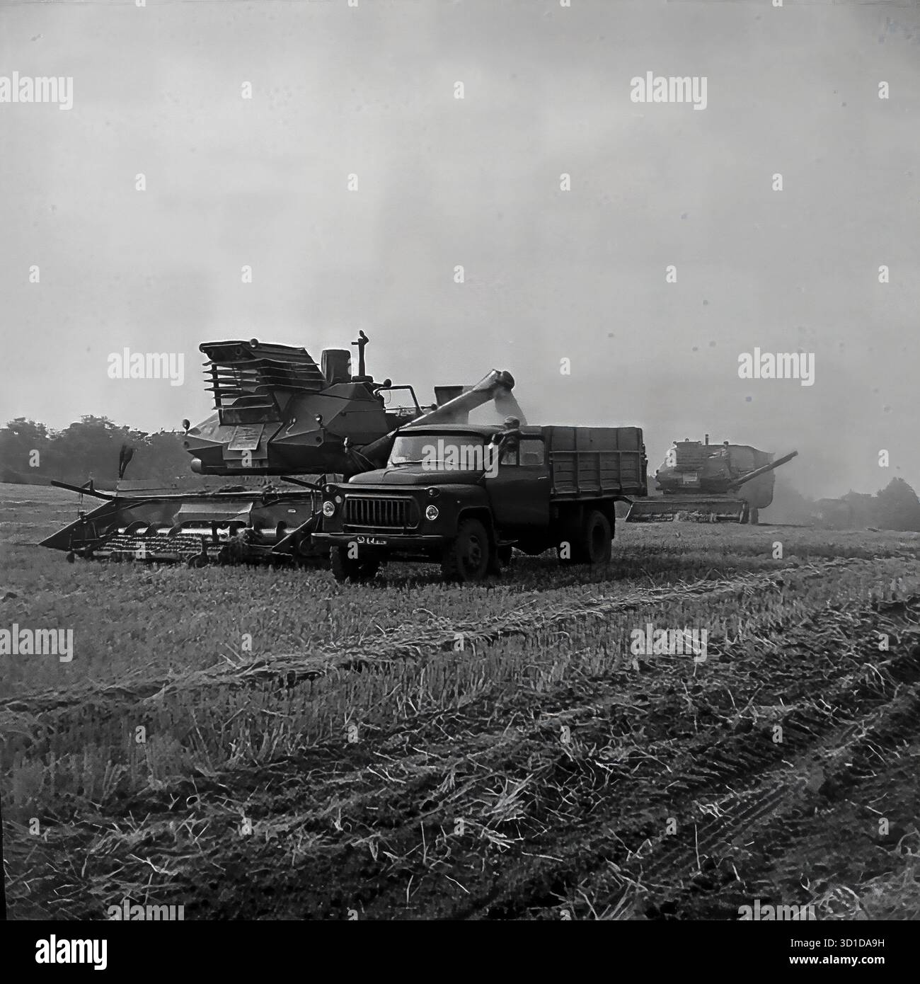 Slawjansk, Ukrainische SSR, 1983. Ein monochromes Archivfoto zeigt die „Schlacht um die Ernte“ in Sovkhoz „Chervony Molochar“. Ein sowjetischer SK-5 Niva-Mähdrescher wird gezeigt, der sein Getreide (Weizen) aktiv von der Schnecke in die Rückseite eines benachbarten GAZ-Lkws entlädt. Im Hintergrund werden andere Mähdrescher und Fahrzeuge auf dem weiten Feld eingesetzt, was den Umfang des mechanisierten Betriebs unterstreicht. Dieser Prozess war der Kern der sowjetischen Landwirtschaft in der Region Donezk. Das ist ein machtvolles Bild des friedlichen Donbass. Stockfoto