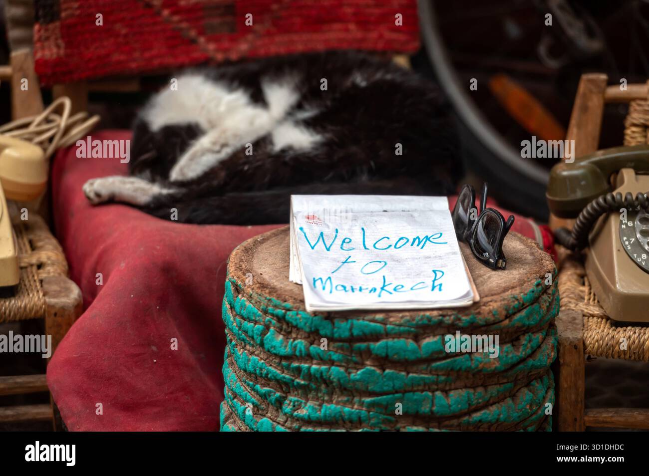 Begrüßungsschild auf einem Tisch mit einer schlafenden Katze in Marrakesch, Marokko am Nachmittag Stockfoto