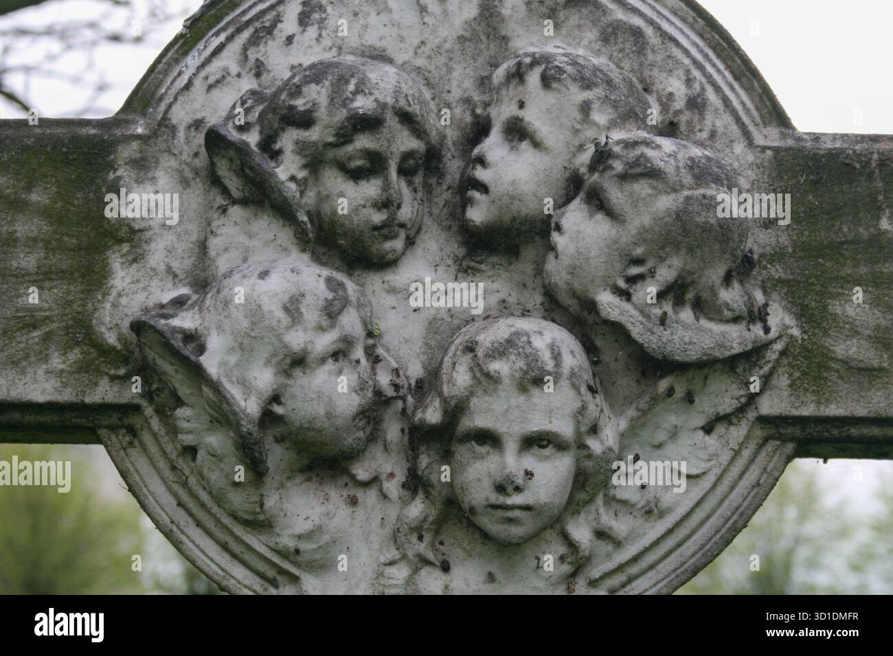 Verwittertes Steinrelief Cherubischer Gesichter auf der Erinnerungsstruktur Stockfoto