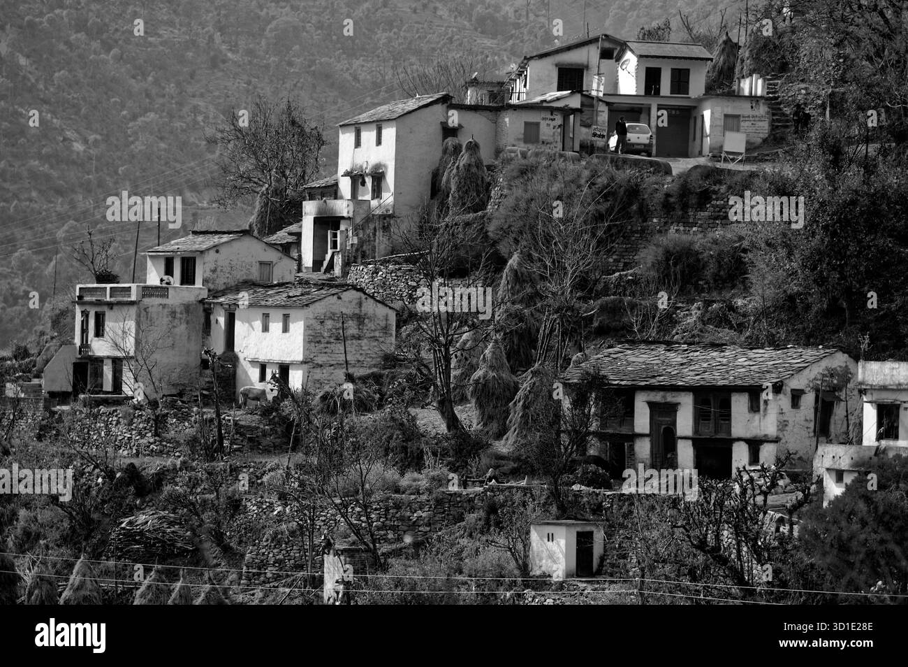 Schwarz-weiß-Foto der traditionellen Dorfszene des Himalaya-Dorfes im Bundesstaat Kausani Uttarakhand Indien Stockfoto