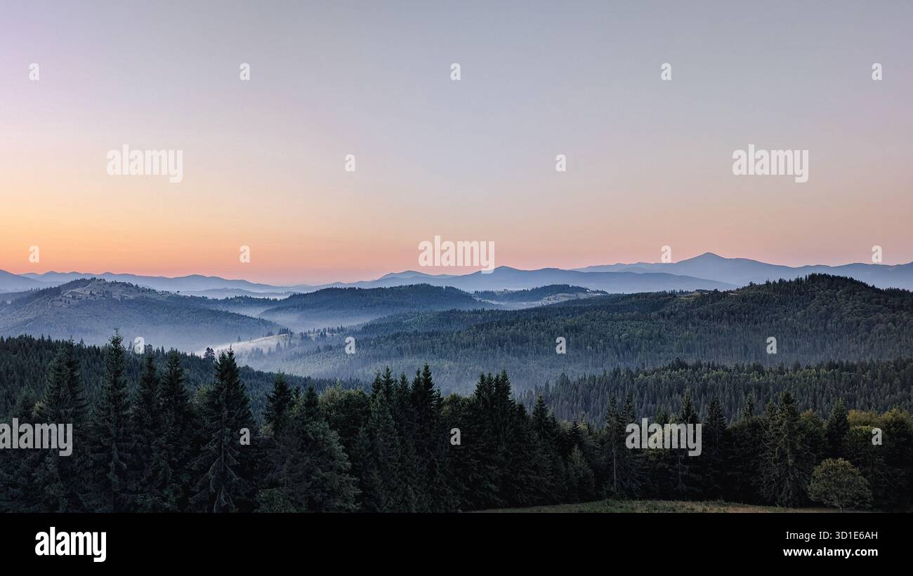Panoramablick auf nebelige Bergketten und dichten Kiefernwald bei Sonnenaufgang - Smartphone-aufgenommenes Stockfoto