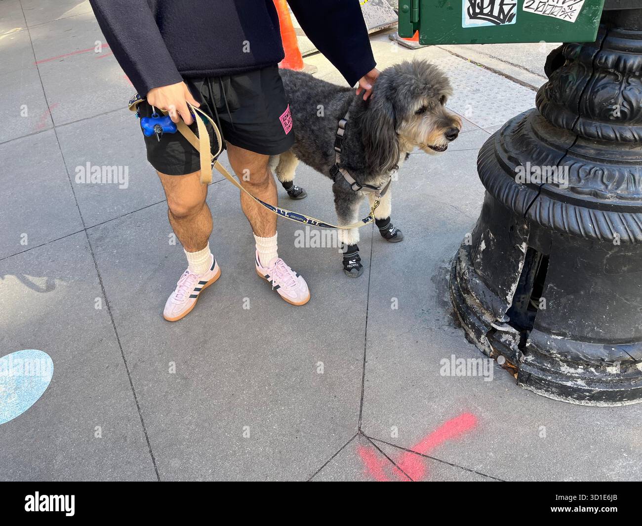 Hund an der Leine mit RC Pets Hundeschuhen auf der E76 Street, New York, Manhattan, USA Stockfoto
