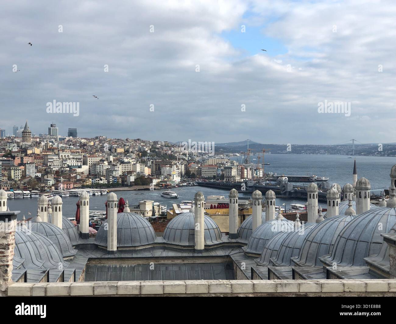 Panoramablick auf Istanbul vom Dach der Suleymaniye-Moschee mit Kuppeln, Galatenturm und Bosporus. Stockfoto