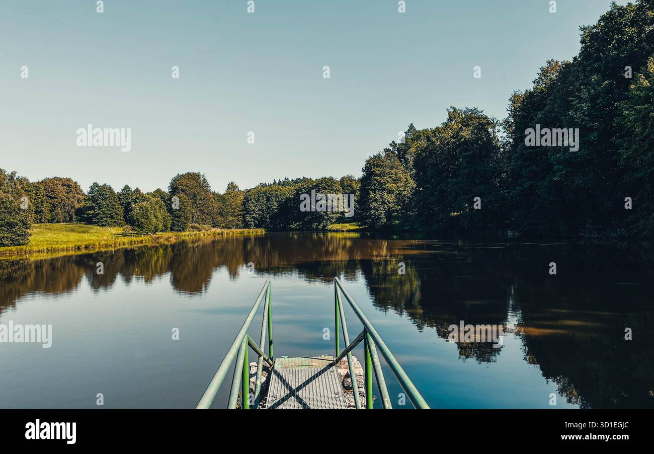 Ruhiger Fluss, der durch einen üppig grünen Wald fließt und das Sonnenlicht auf ruhigem Wasser reflektiert. Perfekt für Natur-, Landschaft-, Reise- und Outdoor-Projekte. - Smartphone-aufgenommenes Stockfoto