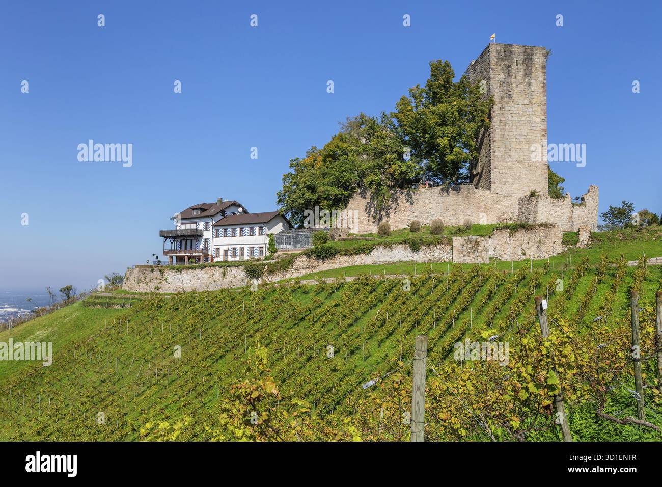 Schloss Windeck, Buehl, Schwarzwald, Baden-Württemberg, Deutschland, Buehl, Baden-Wuerttemberg, Deutschland Stockfoto
