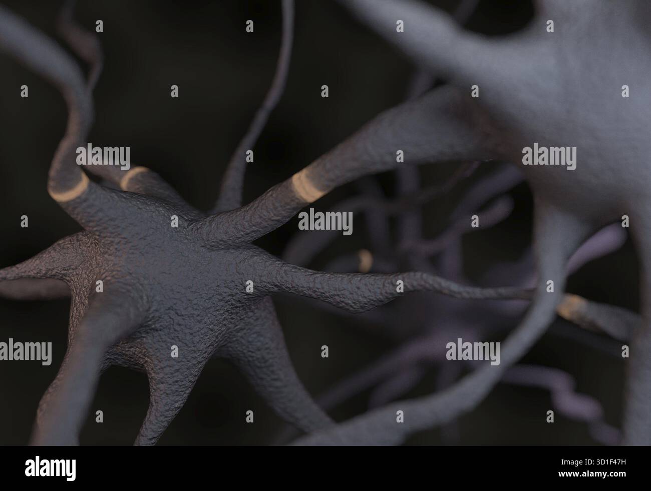 Grau Neuron mit Signalen Impulse 3D-Rendering Stockfoto