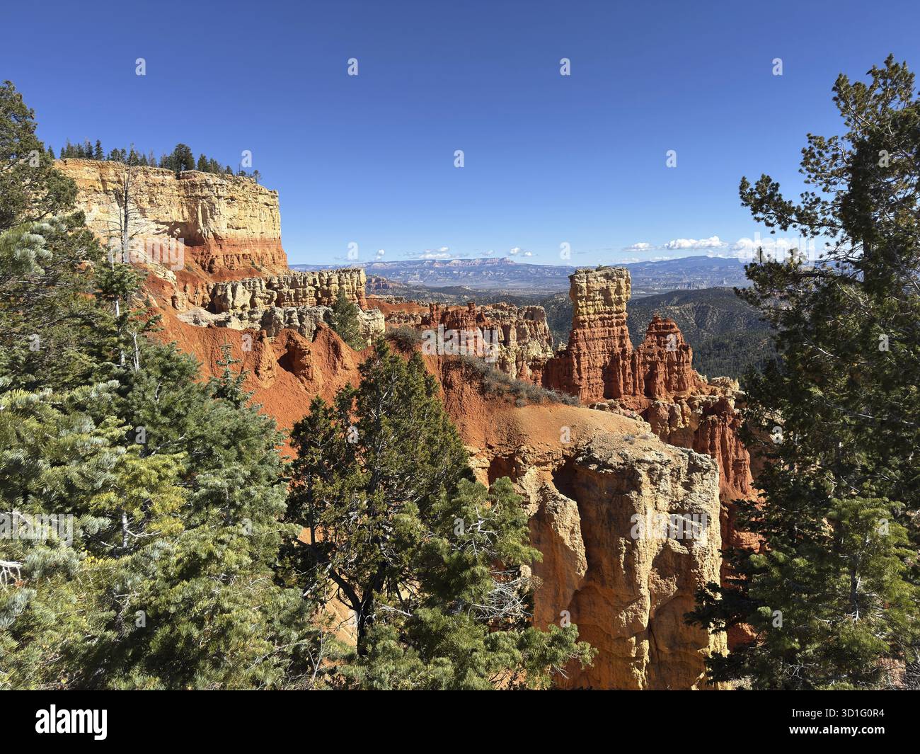 Rote Klippen und dicke Wälder erstrecken sich bis zum Horizont unter tiefblauem Himmel. Der Bryce Canyon National Park liegt im Südwesten Utahs in der United Street Stockfoto
