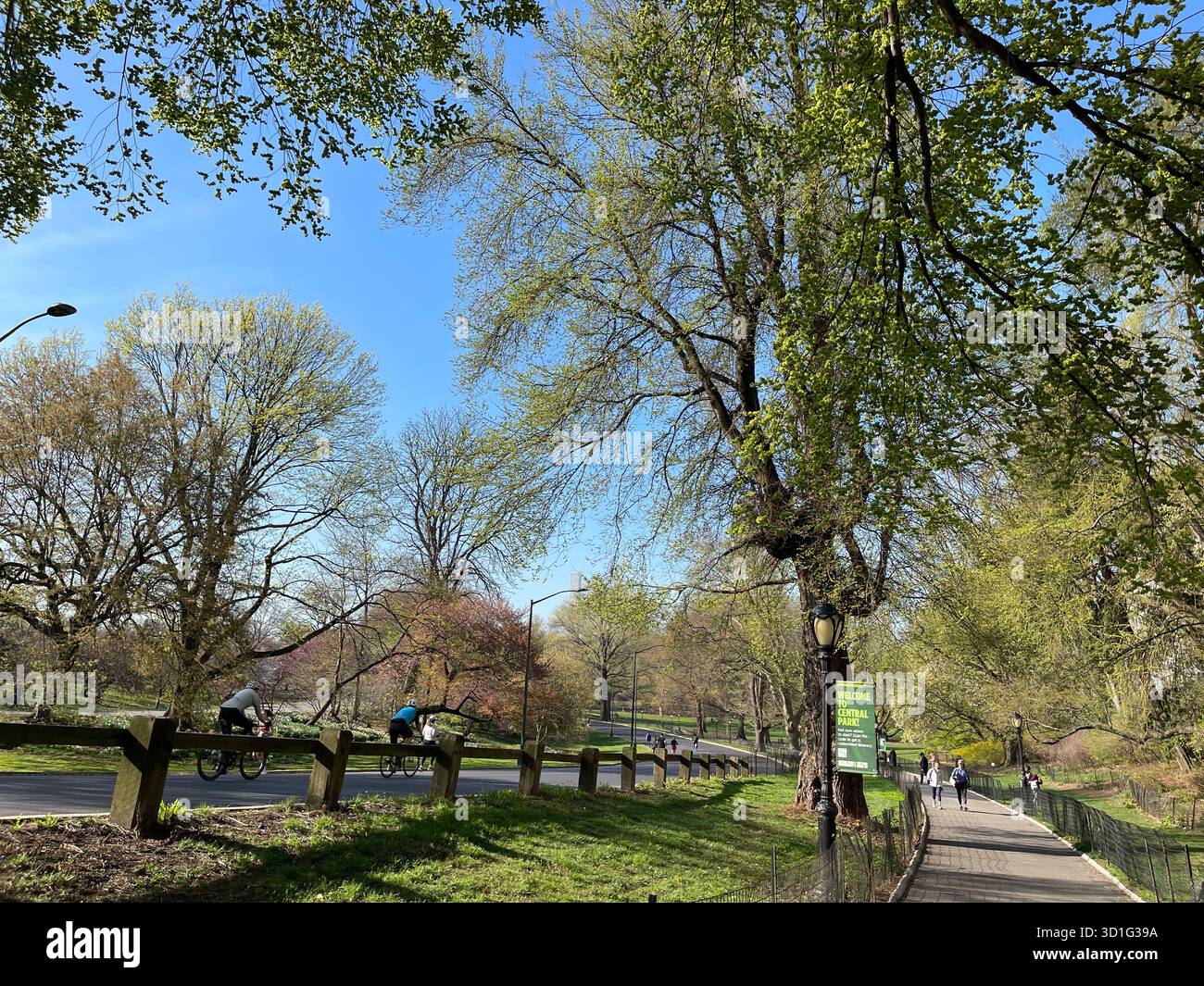 Ein Spaziergang durch den Central Park, NYC – Ruhe durch die vier Saison Stockfoto