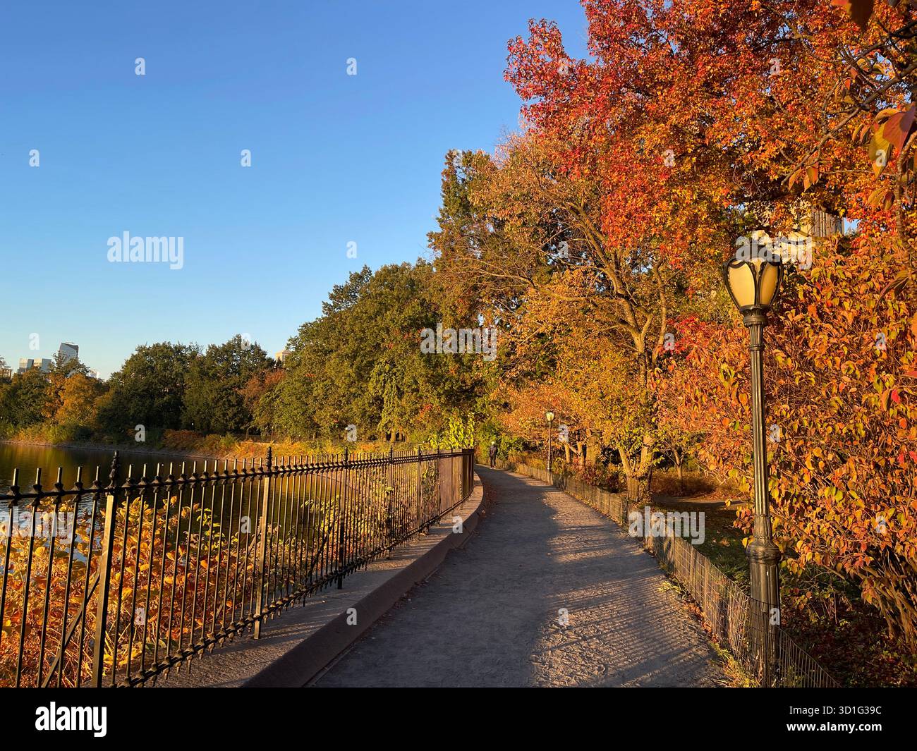 Ein Spaziergang durch den Central Park, NYC – Ruhe durch die vier Saison Stockfoto