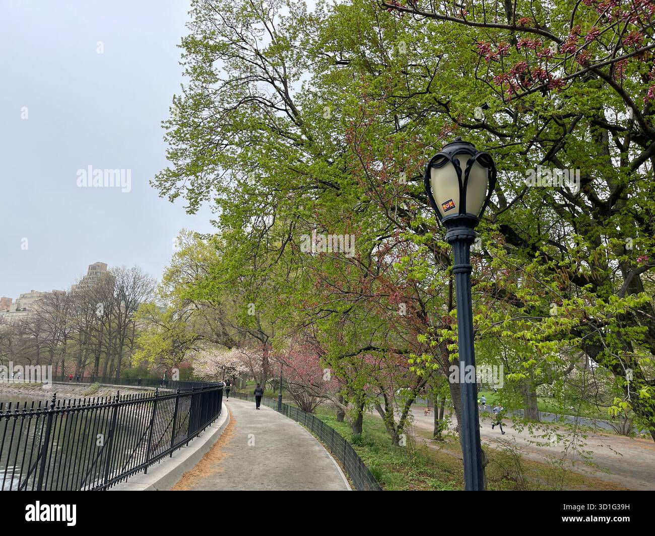 Ein Spaziergang durch den Central Park, NYC – Ruhe durch die vier Saison Stockfoto