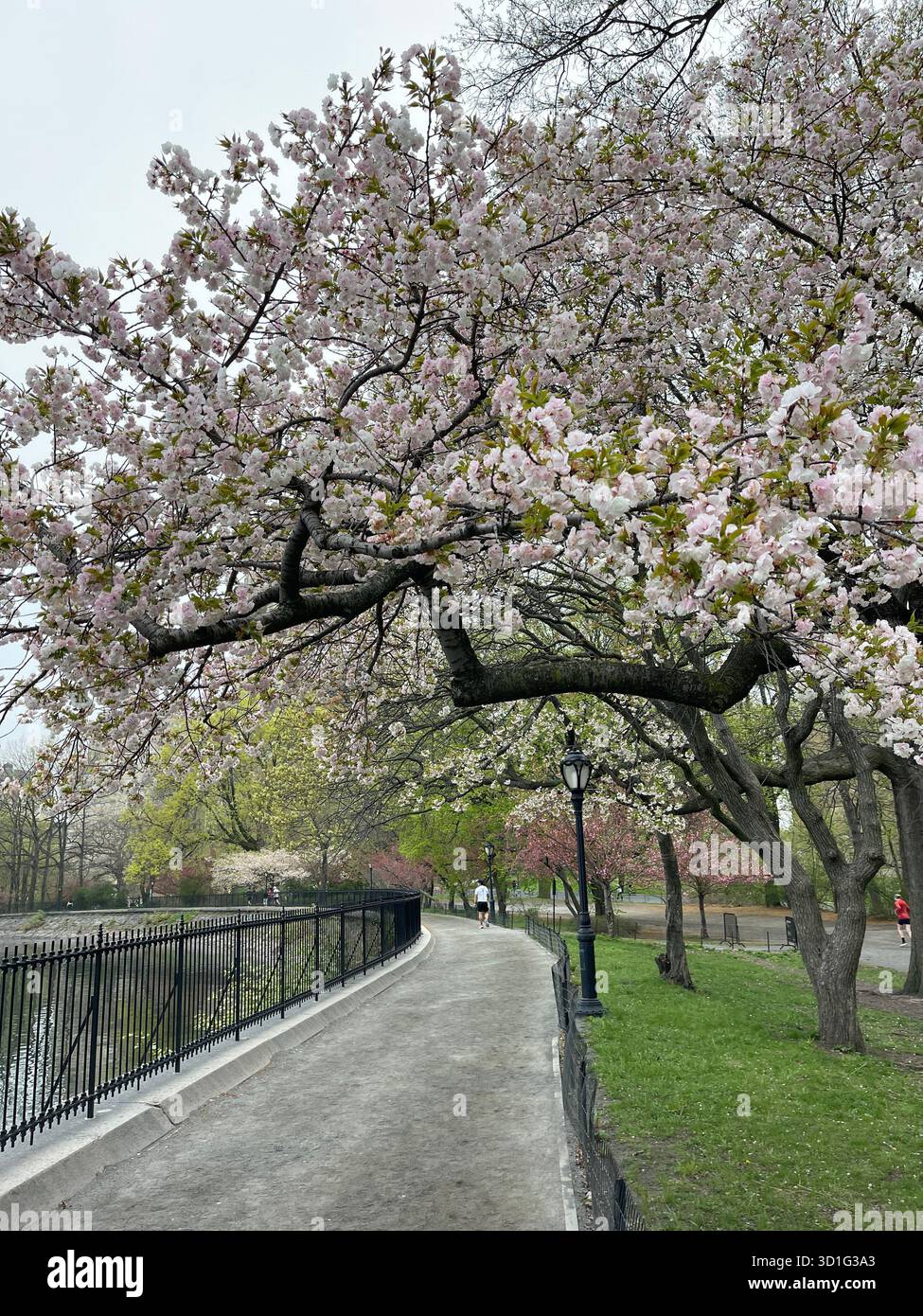 Ein Spaziergang durch den Central Park, NYC – Ruhe durch die vier Saison Stockfoto