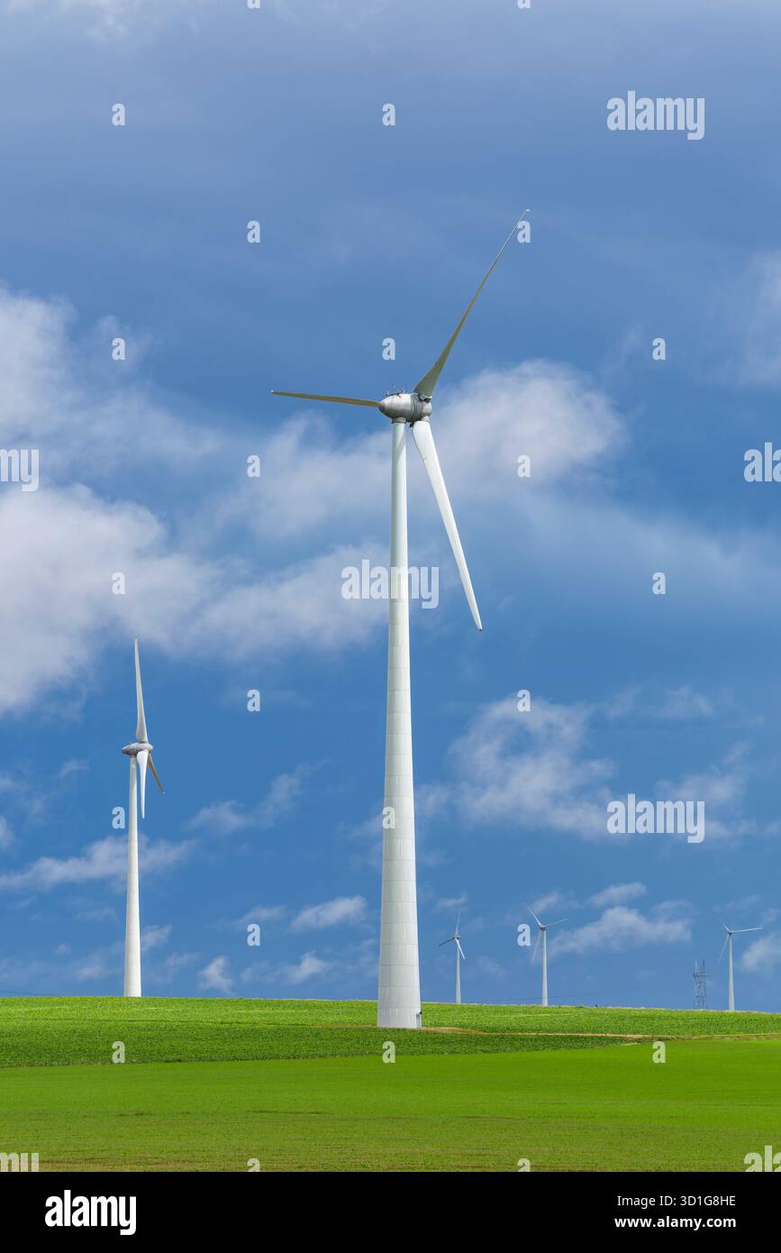 Windenergieanlagen erzeugen sauberen Strom in einem grünen Feld mit blauem Himmel und Wolken in Marne, Frankreich Stockfoto