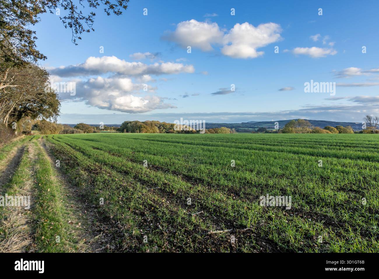 Ein Blick über das Ackerland in Sussex, mit einem Pfad, der entlang eines Feldzuges verläuft Stockfoto
