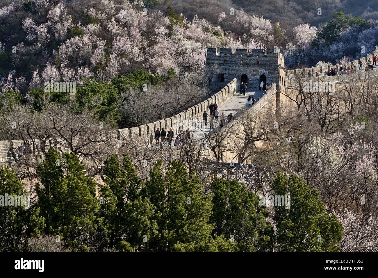 Steinsteintunnel mit schmalem Korridor und Stufen auf der Chinesischen Mauer, altes architektonisches Inneres, Tor zur Festung, vertikale Perspektive Stockfoto