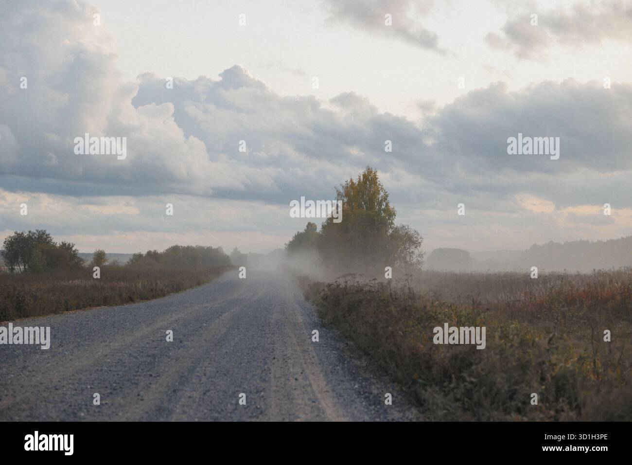 Eine abgeschiedene, unbefestigte Straße zieht sich durch ein dickes Nebelfeld und schafft eine geheimnisvolle Atmosphäre, die ein Gefühl von Ruhe und Abenteuer weckt Stockfoto