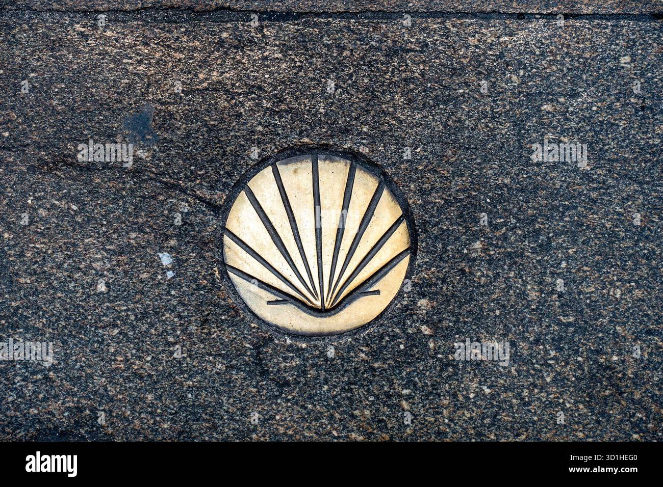 Bronze-Jakobsmuschel-Marker, eingebettet in Steinpflaster in Santiago de Compostela, Galicien, Spanien, Symbol für den Jakobsweg. Stockfoto