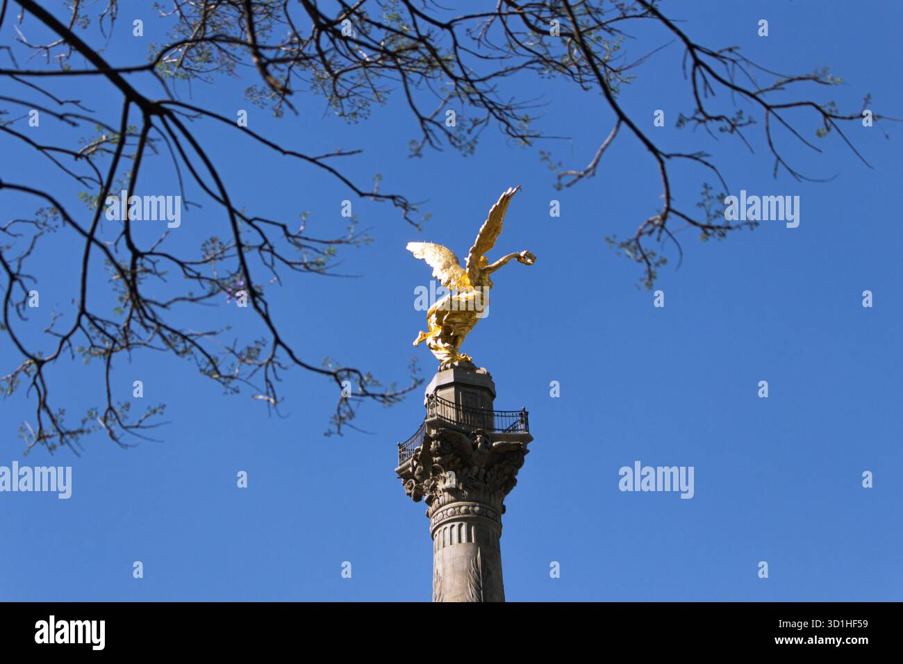Der goldene Engel der Unabhängigkeit in Mexiko-Stadt, eingerahmt von Ästen unter einem tiefblauen Himmel Stockfoto