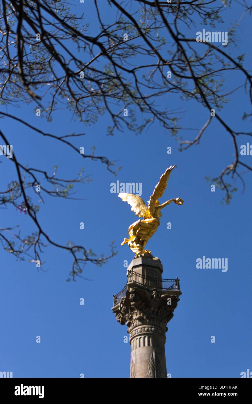 Der goldene Engel der Unabhängigkeit in Mexiko-Stadt, eingerahmt von Ästen unter einem tiefblauen Himmel Stockfoto