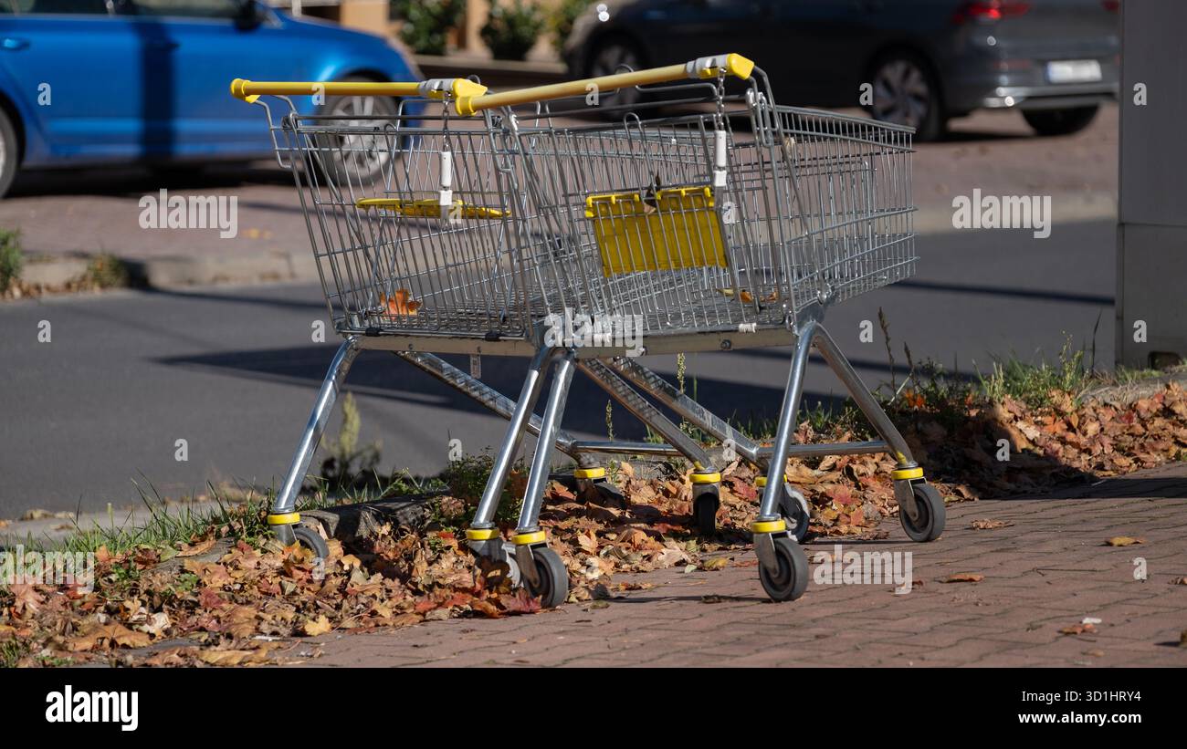 Zwei Einkaufswagen aus Metall stehen auf einem Bürgersteig mit heruntergefallenen Blättern und symbolisieren das Geschäft und die alltäglichen Einkaufsgewohnheiten. Nützlich für Werbung s Stockfoto