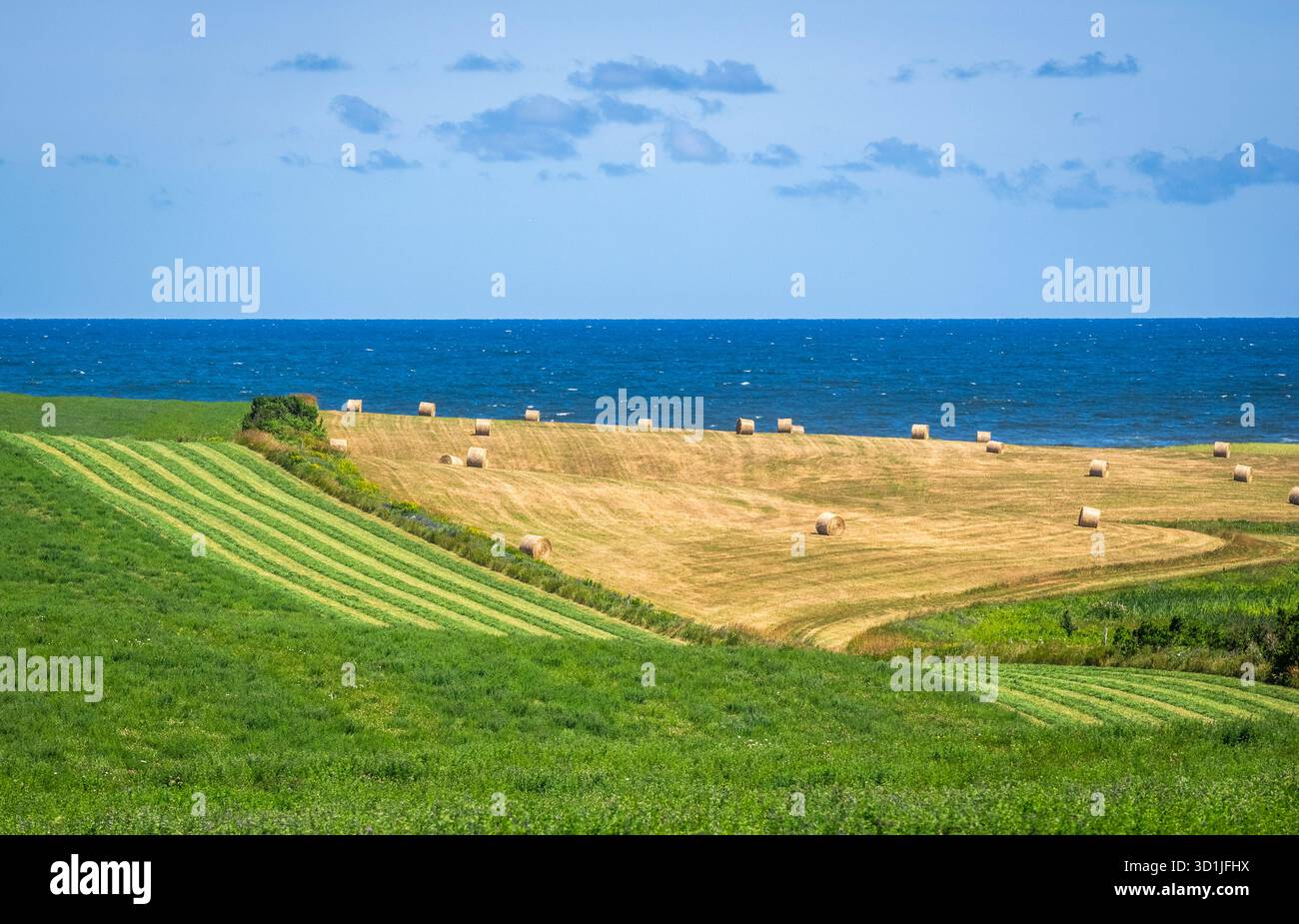 Farmfelder an der Nordküste von Prince Edward Island Kanada Stockfoto