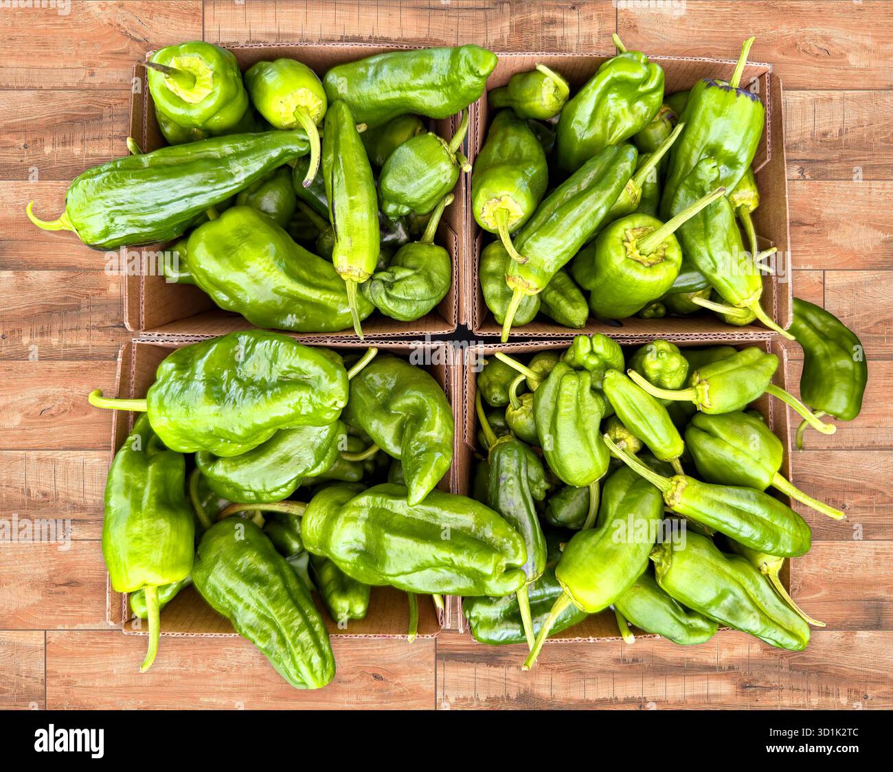 Frische Grüne Jalapeno-Paprika Stapeln Bio-Scharfes Gemüse Stockfoto
