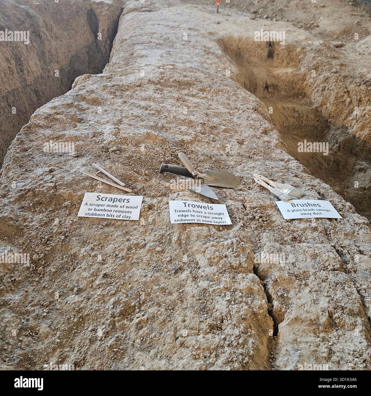 Die Werkzeuge der Archäologen werden an der Ausgrabungsstätte im Waco Mammoth National Monument, Texas, ausgestellt Stockfoto