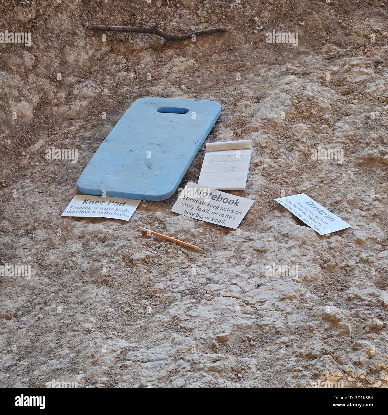Ausgrabungswerkzeuge im Waco Mammoth National Monument Grabschutzhaus, Texas Stockfoto
