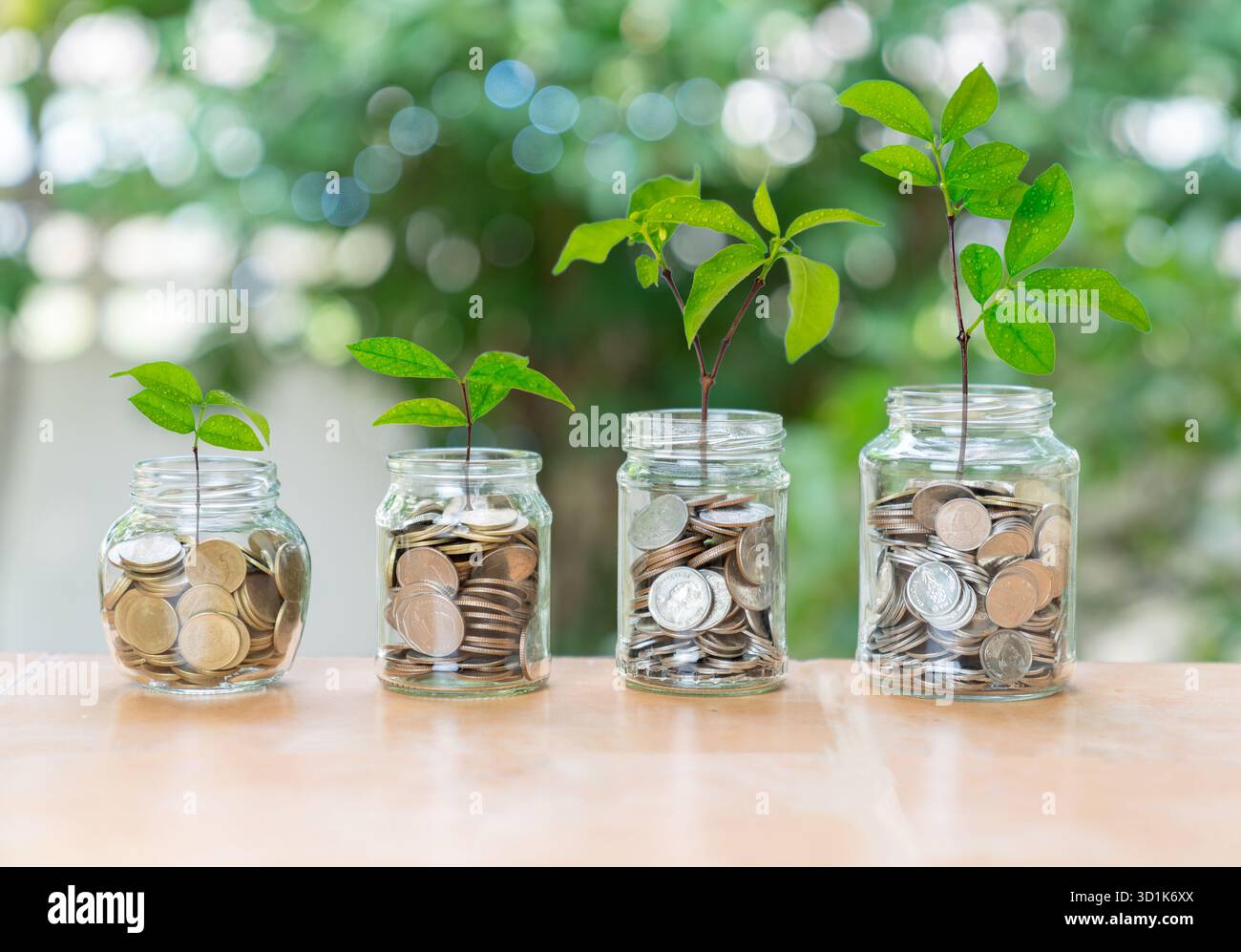 Das Konzept von Finanzwachstum, Investitionen und Einsparungen. Das zunehmende Münzvolumen in den Gläsern, verbunden mit der progressiven Höhe der Growi Stockfoto