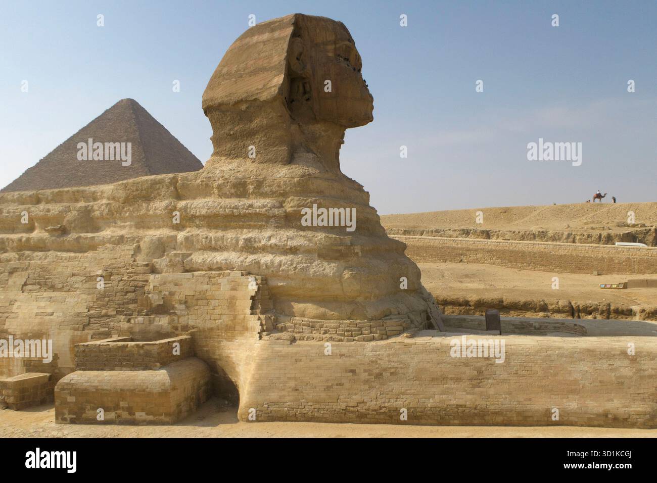 Seitenansicht der Großen Sphinx von Gizeh mit einer Pyramide im Hintergrund unter einem klaren blauen Himmel in Ägypten Stockfoto